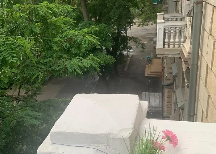 на утесова 公寓 *